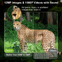 Фотоловушка Dsoon Mini Trail Camera H511