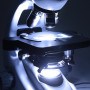 Мікроскоп Optika B-293PLI 40x-1000x Trino Infinity