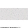Набор препаратов Optima Общая биология E (100 шт.) (S-003.4)