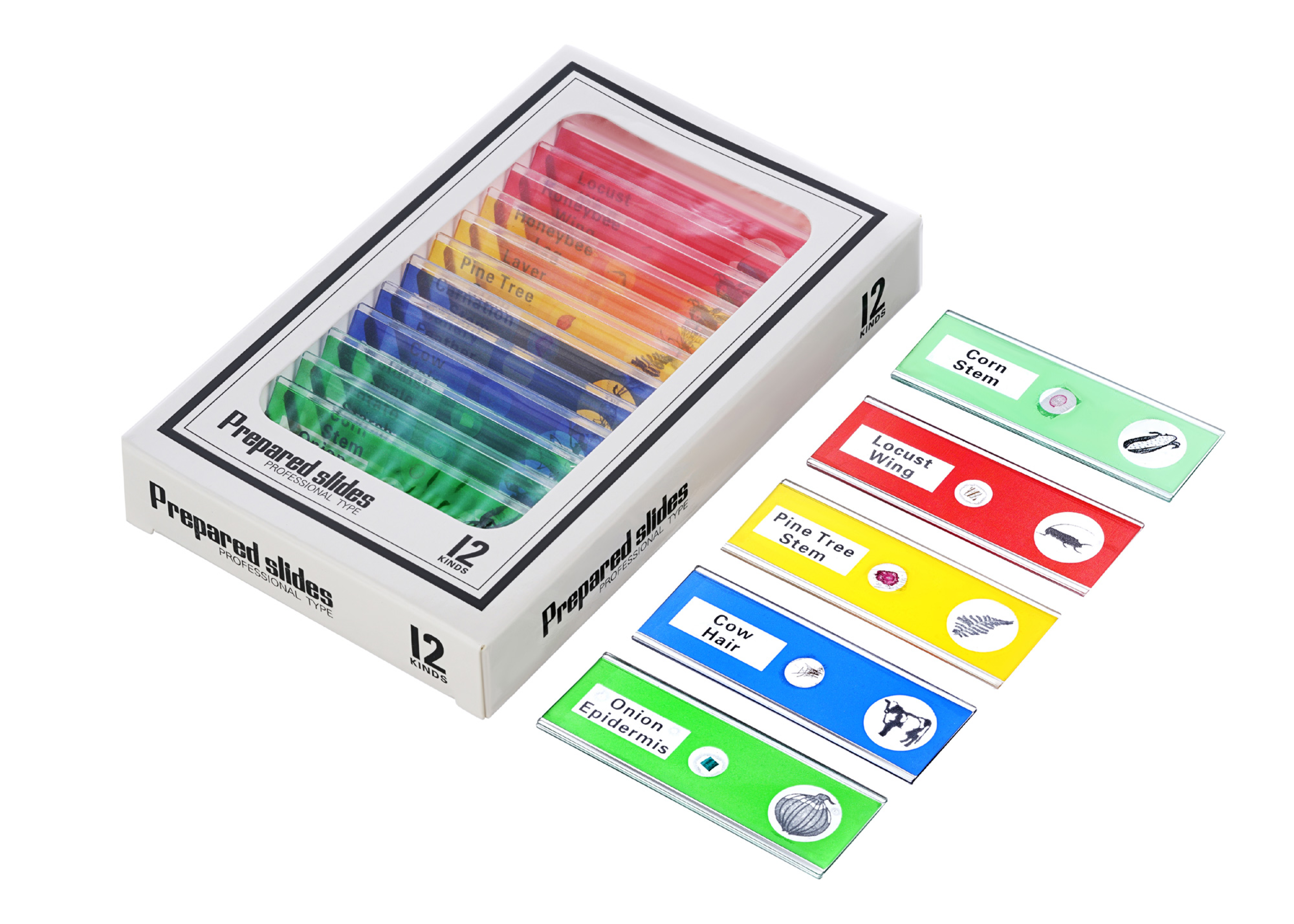 Мікроскоп цифровий Levenhuk LabZZ DM200 LCD